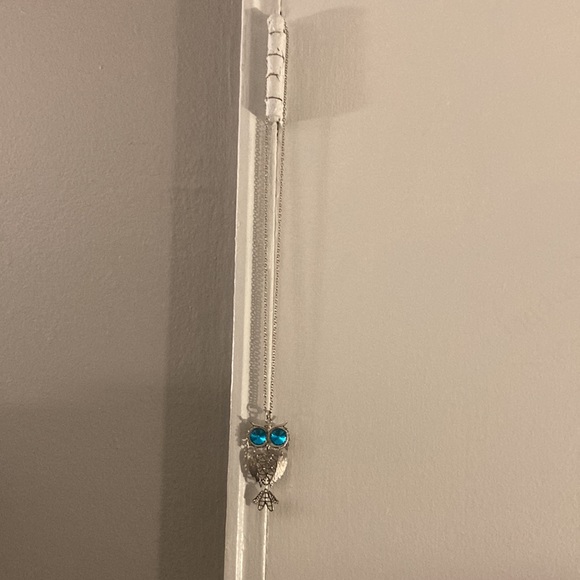 Brand New in Box Absolutely Gorgeous Infinity Slip On Blue Eyes Owl Necklace - Picture 17 of 17